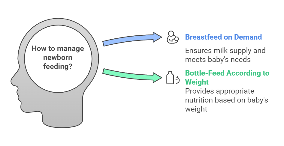 How to manage newborn feeding?