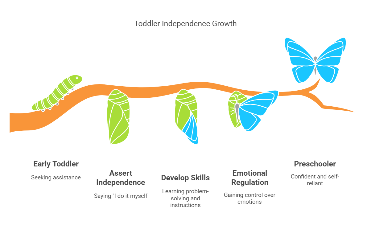 Toddler Independence Growth