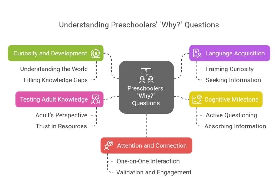 Understanding Preschoolers' "Why?" Questions