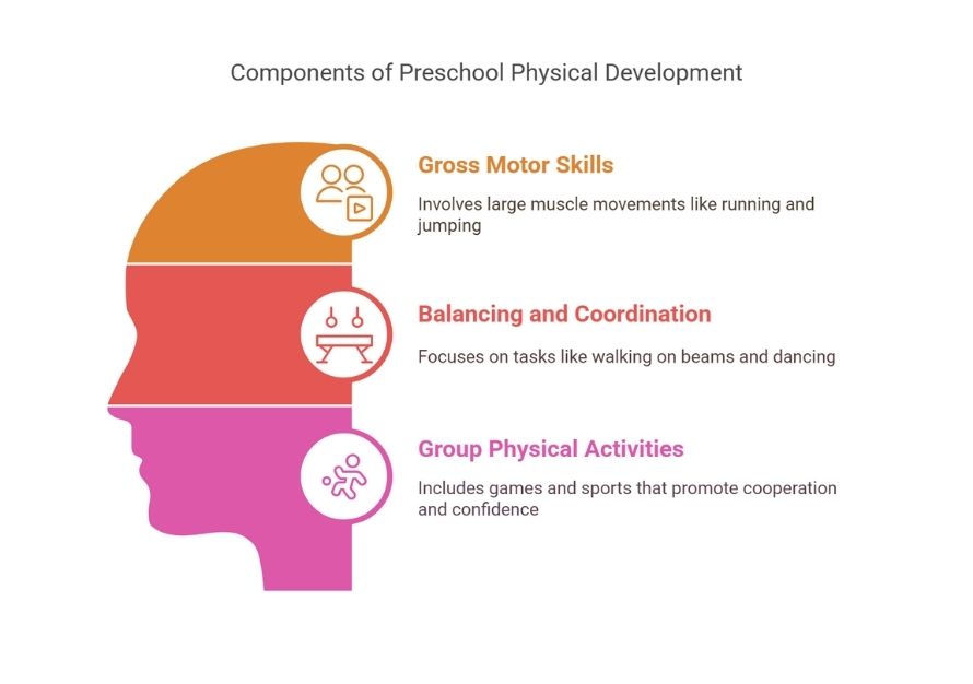 Components of Preschool Physical Development