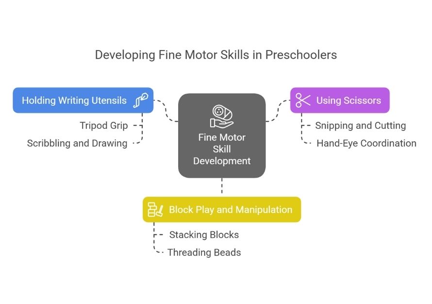 Development Fine Motor Skills in Preschoolers