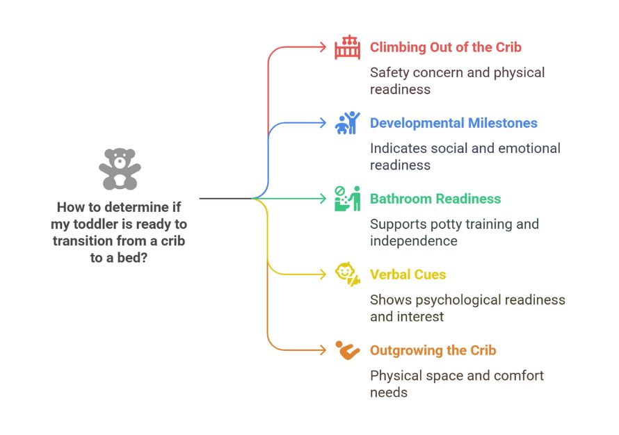 How to determine if my toddler is ready to transition from a crib to a bed?