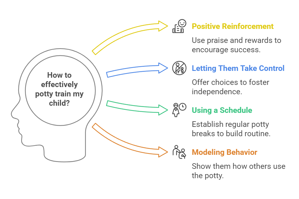 How to effectively potty train my child?