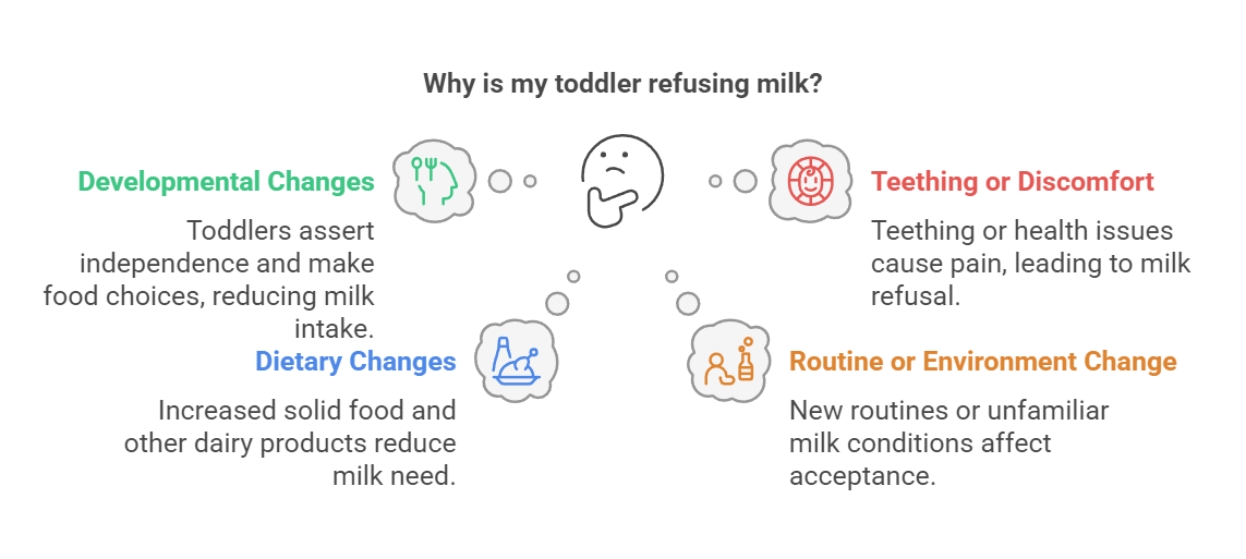 Why is my toddler refusing milk?