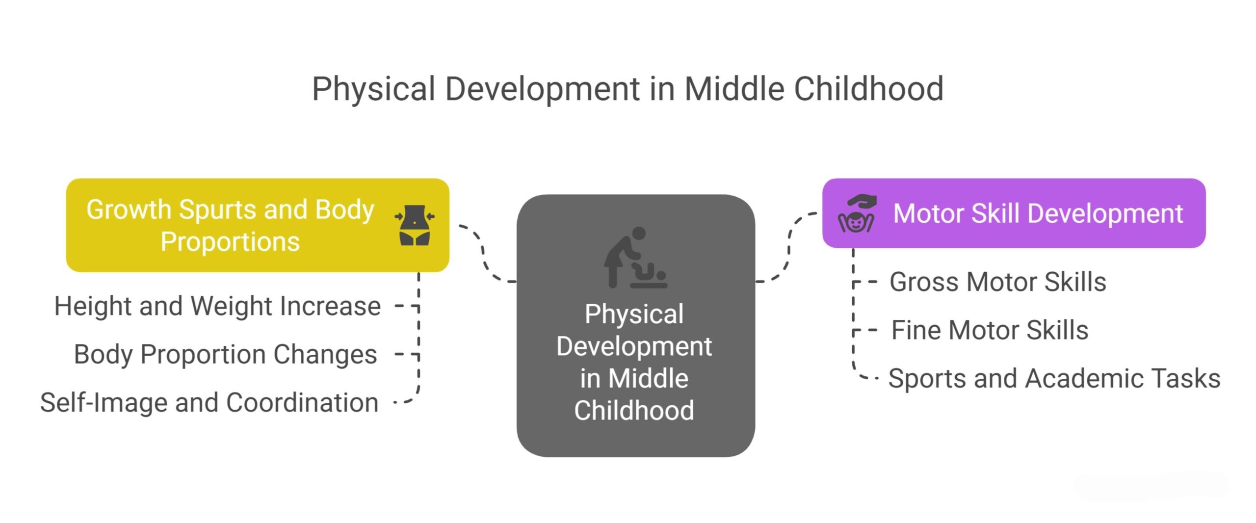 Physical Development in Middle Childhood