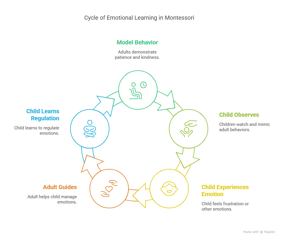 Cycle of Emotional Learning in Montessori