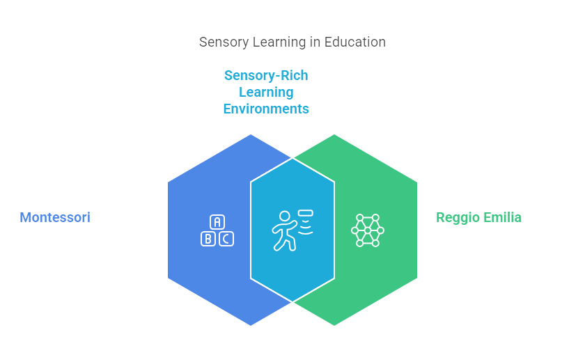 Sensory Learning in Educational Approaches