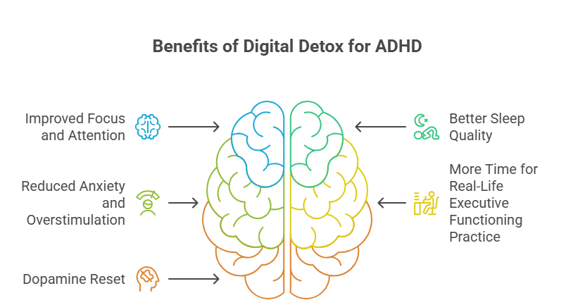 ✅ Potential Benefits of a Digital Detox for ADHD