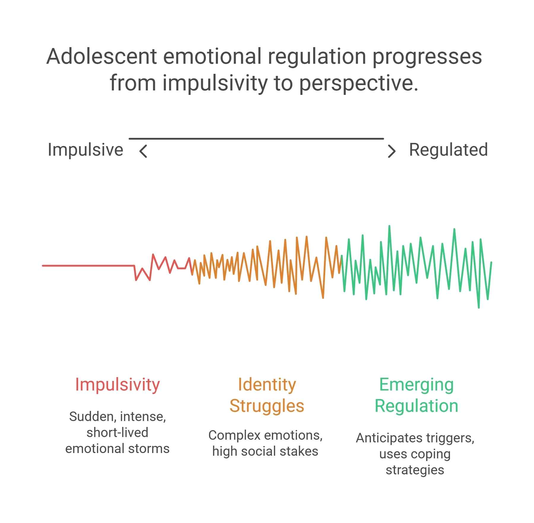 Adolescent emotional regulation progresses from impulsivity to perspective.