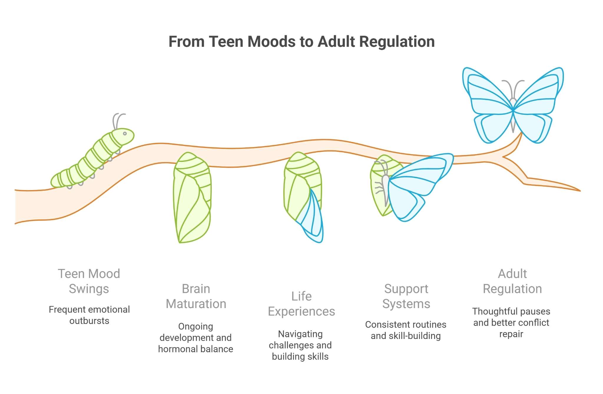 From Teen Moods to Adult Regulation