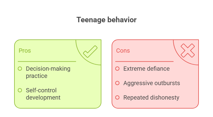 3. Testing Boundaries 🚧